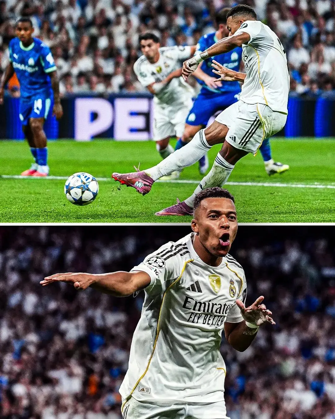 获奖, msn, 赛季结束后 获奖, msn, 赛季结束后