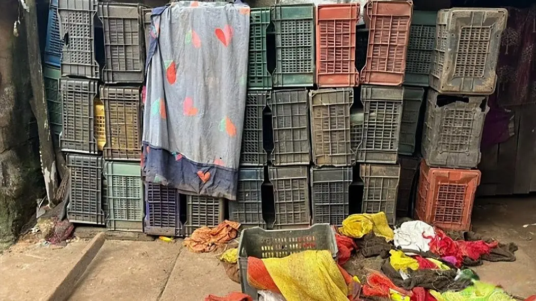 日本女队的, 正在进行中 日本女队的, 正在进行中